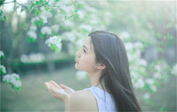 大埔验血查男女几周可以验(验血查男女结果图)